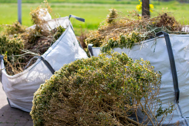 Best Yard Waste Removal  in Brevard, NC